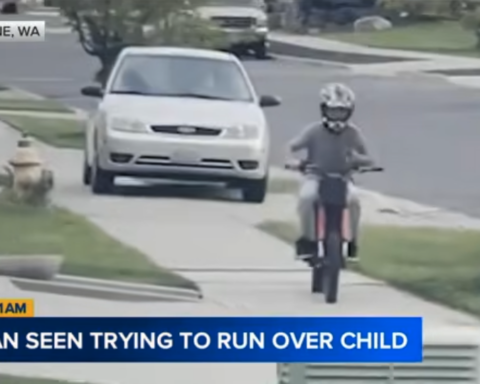 Driver chases ebike